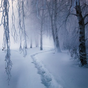 Image Source Page: http://incpire.com/photos/winter-wonderland
